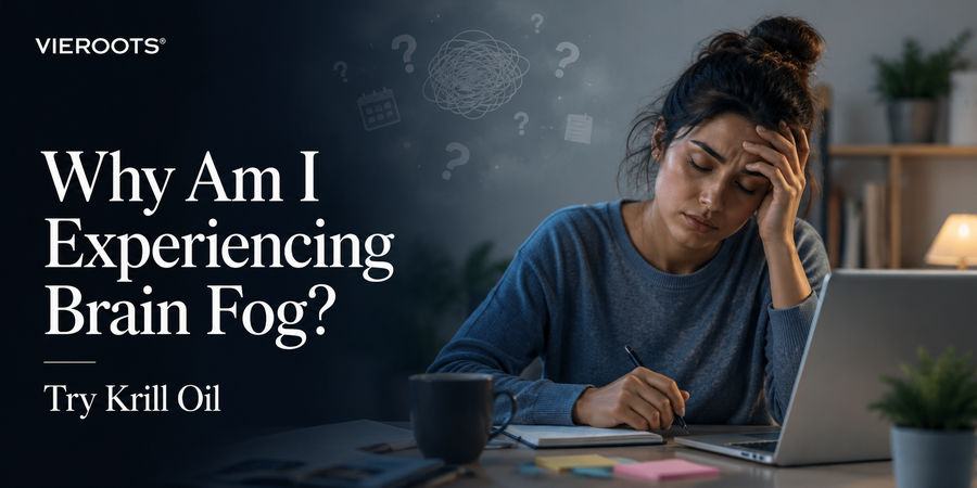 Why Am I Experiencing Brain Fog? Try Krill Oil