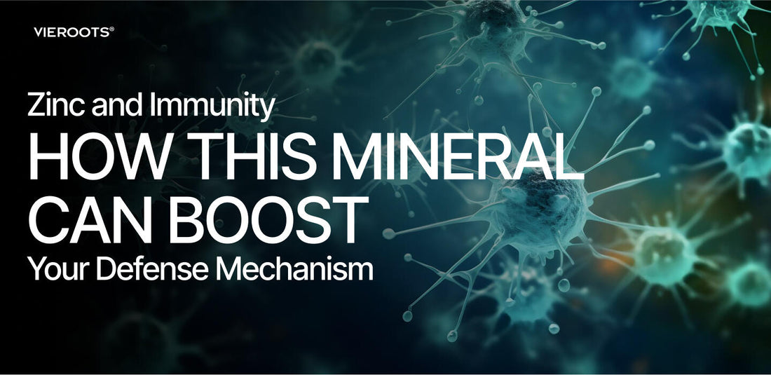 Zinc and Immunity How This Mineral Can Boost Your Defense Mechanism