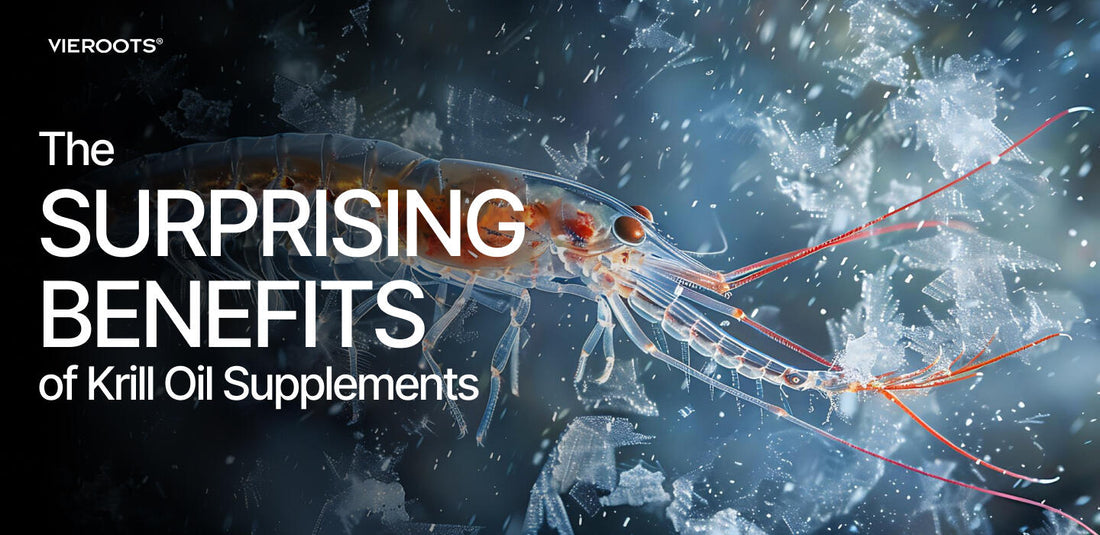 Blog - The Surprising Benefits of Krill Oil Supplements