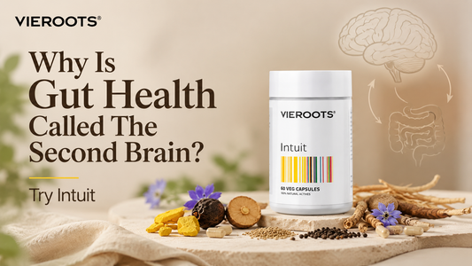 Why Is Gut Health Called The Second Brain?