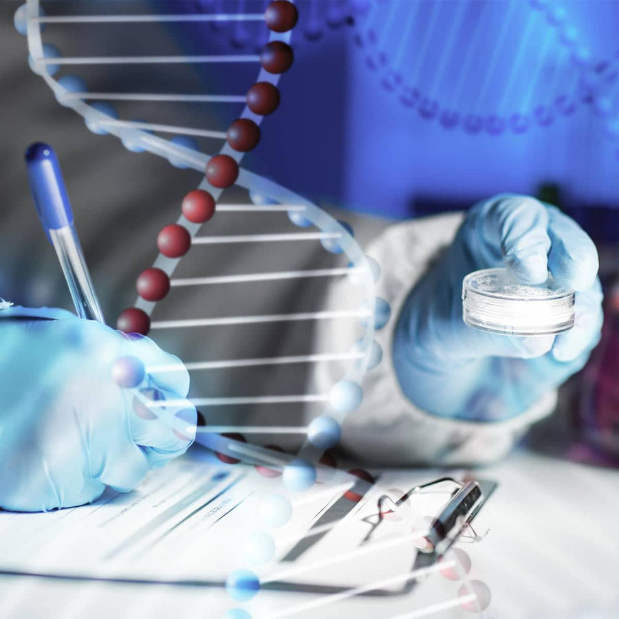 DNA Kit