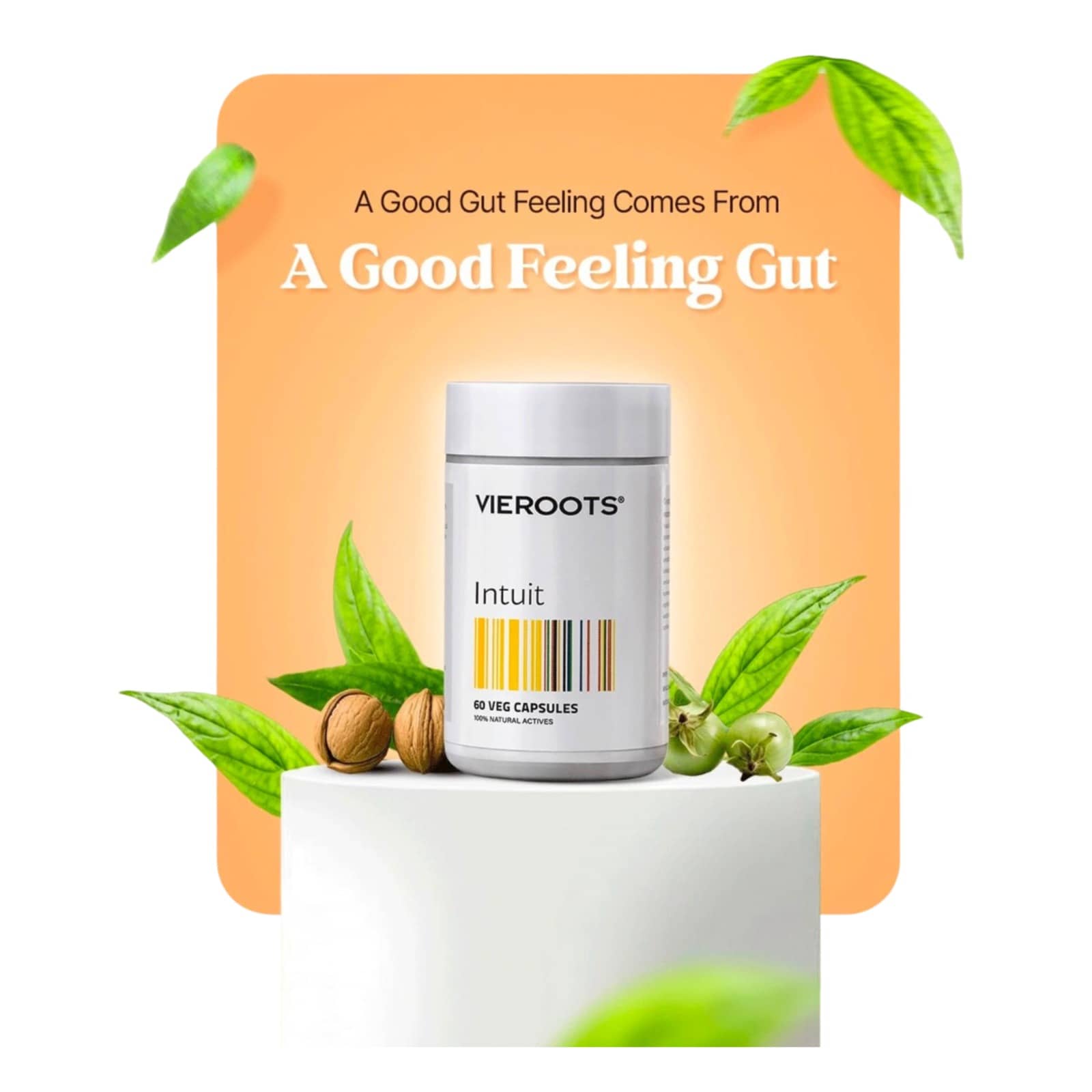 Intuit - Digestive Health & Immunity Boost