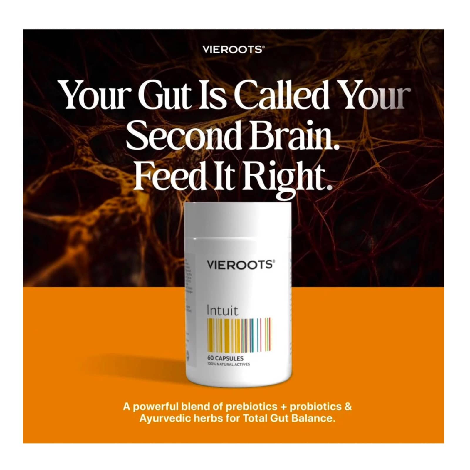 Intuit - Digestive Health & Immunity Boost